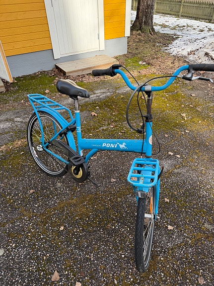 Tunturi poni