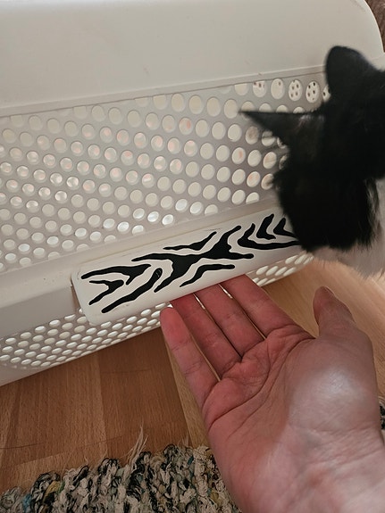 Product image 3 of 9