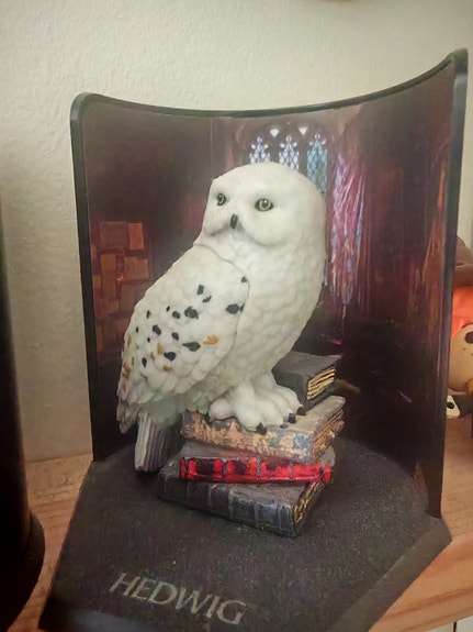Harry Botter, hedwig, buckbeak ja cornish pixie
