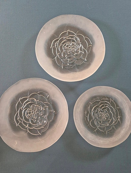 Iittala Villiruusu lasilautaset 3kpl