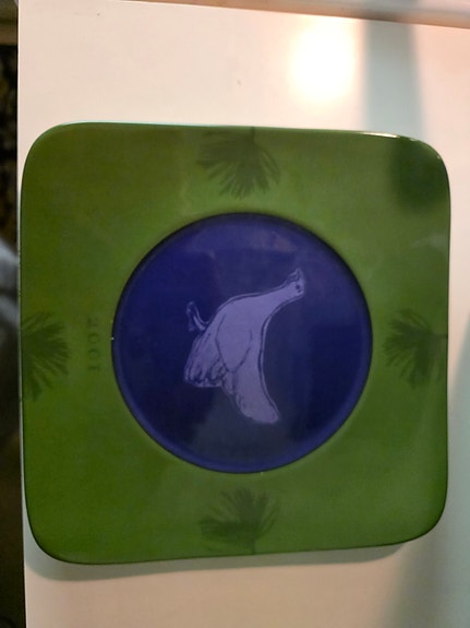 Arabia Flora&Fauna