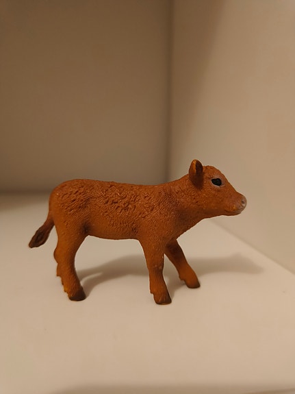 Schleich vasikka