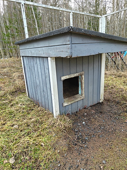 Eristetty koirankoppi