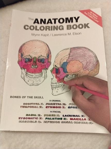 Anatomy coloring book