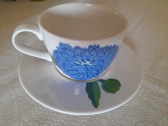 Primavera Iittala teekuppipari