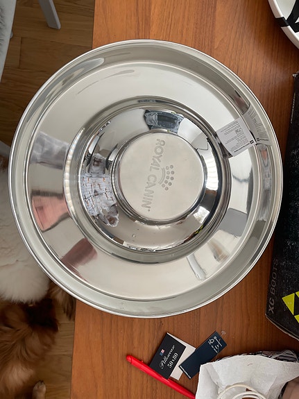 Royal Canin koiranpennun  ruokakuppi