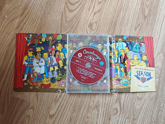 Simpsonit 9. tuotantokausi DVD