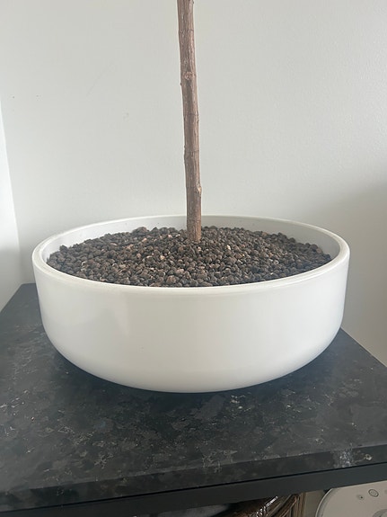 Iso kukkaruukku