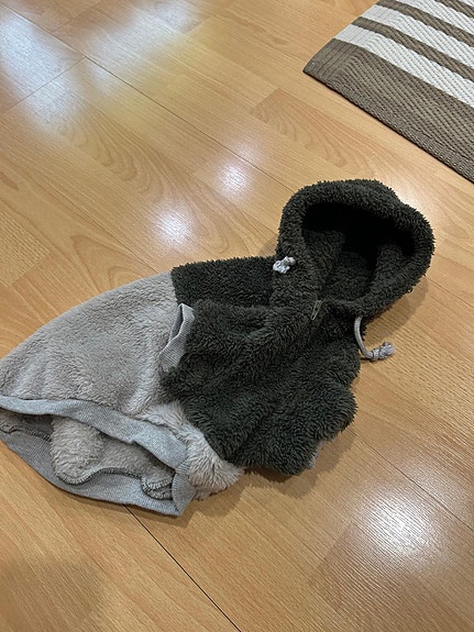Koiran pörröinen huppari