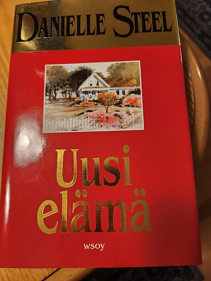 Danielle Steel Uusi elämä romaani