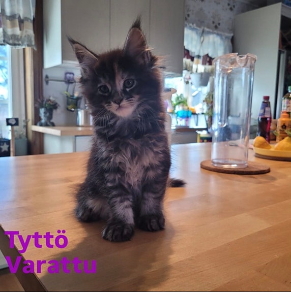 Product image 3 of 6