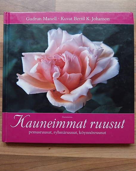 Kauneimmat ruusut