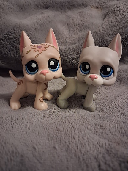 Littlest Pet Shop Tanskandoggi