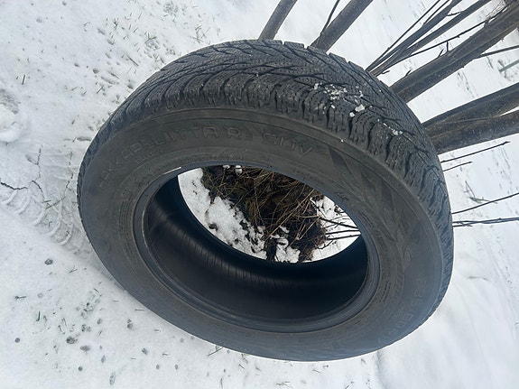 Nokian tyres Hakkapeliitta renkaat