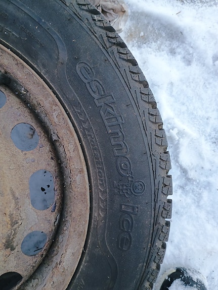 Sava Eskimo Ice 195/65 r15 renkaat