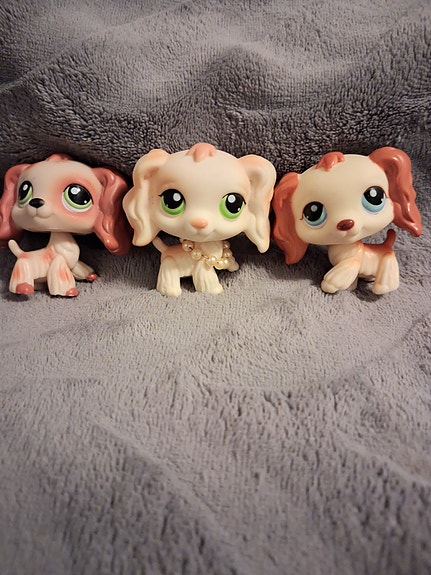 Lps cockerspanieli