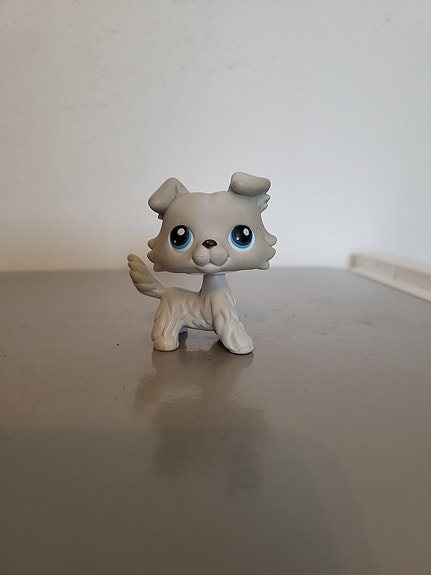 Littlest pet shop Collie