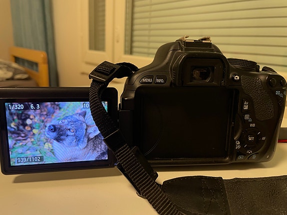 Product image 3 of 8