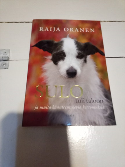 Sulo tuli taloon Raija Oras