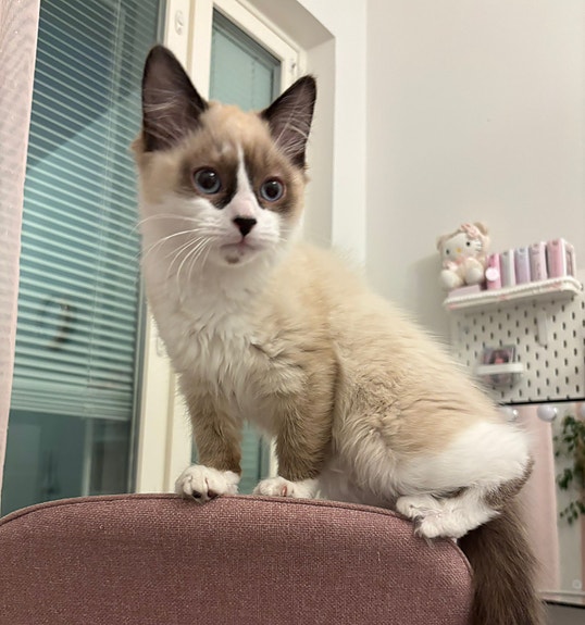 Product image 6 of 9