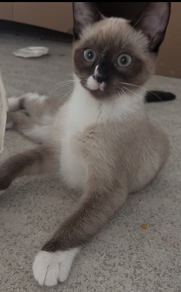 Product image 7 of 9