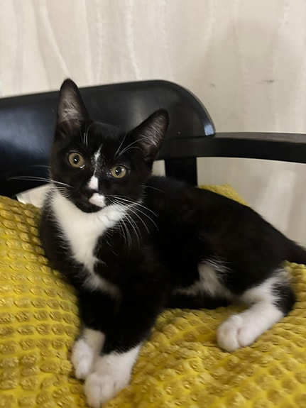 Product image 8 of 9