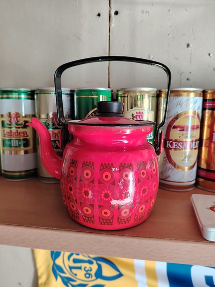 Finel pannu