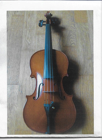 Viulu 4/4