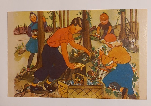 Product image 6 of 10