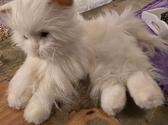 Kissa