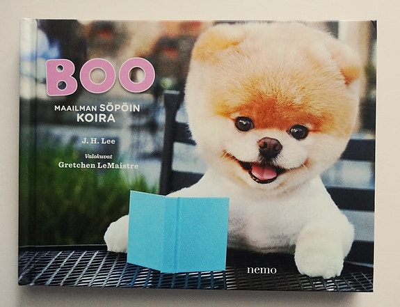 Boo – maailman söpöin koira