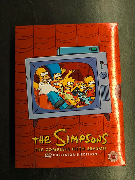 The Simpsons 5 kausi
