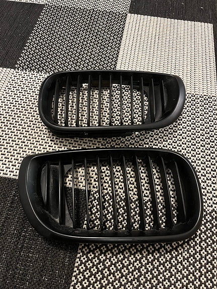 E46 munuaiset