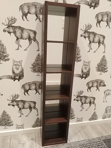 Ikea MOLGER hylly peilillä, tummanruskea