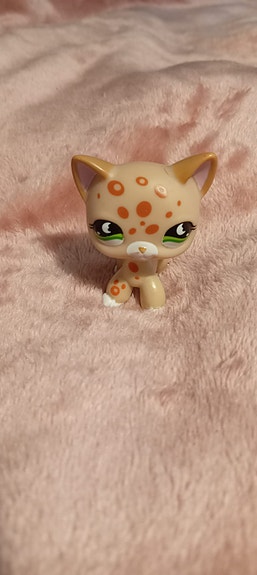 Lps beige kissa