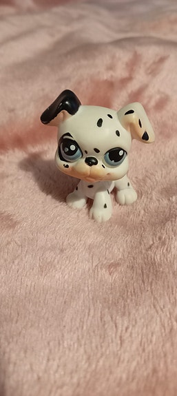 Lps koira