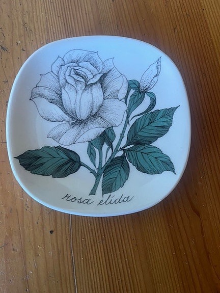 Arabia Rosa Elida seinälautanen Esteri Tomula