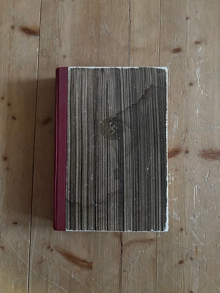 Taisteluni II (Mein Kampf)