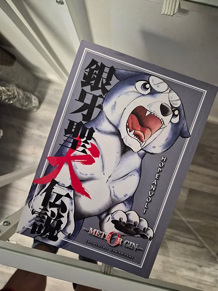 Ginga Seiken Densetsu Meteor Gin