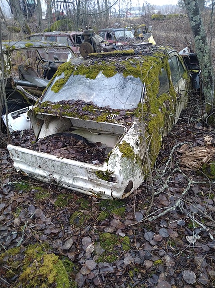 Ford auton kori varaosiksi