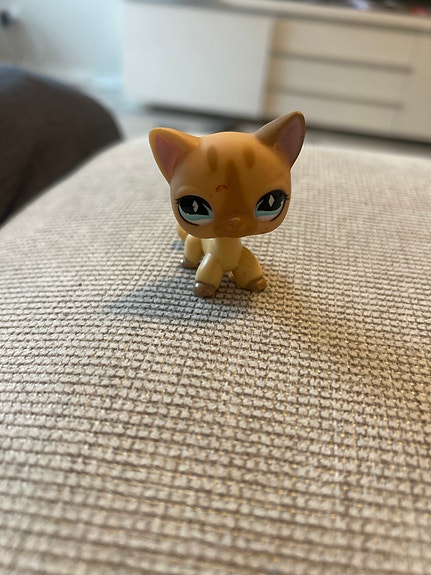 Littlest pet shop kissa
