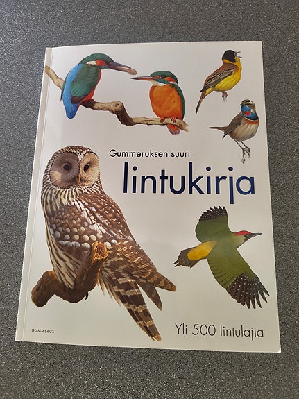 Gummeruksen suuri lintukirja