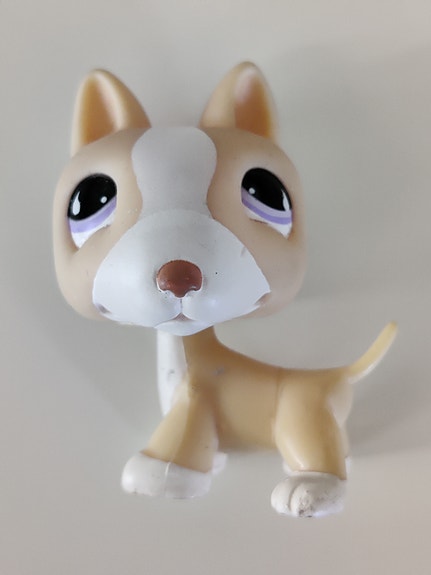 LPS Bullterrieri koira