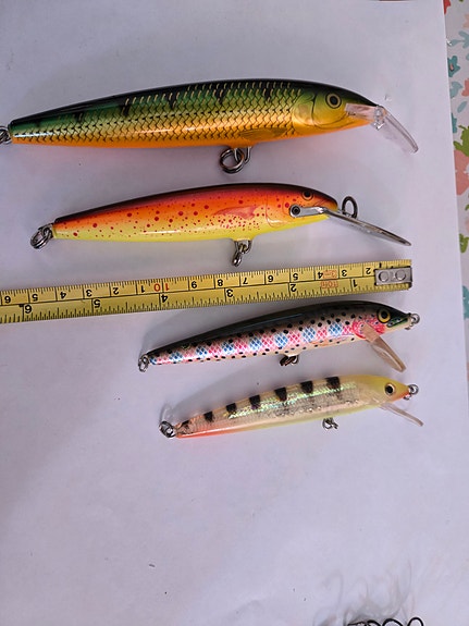 Rapala vaaput