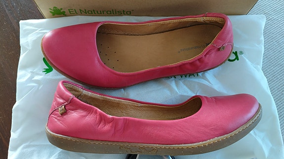 El Naturalista 39