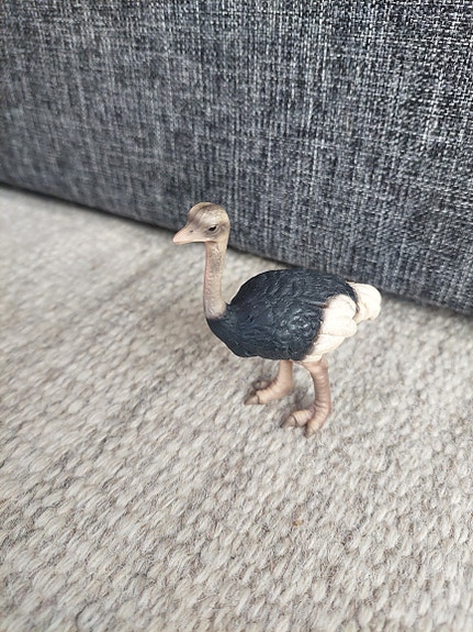 Schleich strutsi