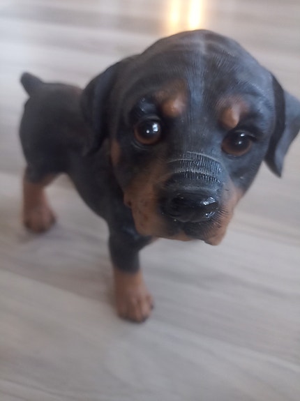 Rottweiler figuuri