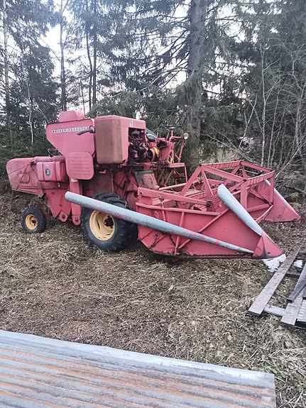 Massey Ferguson 31