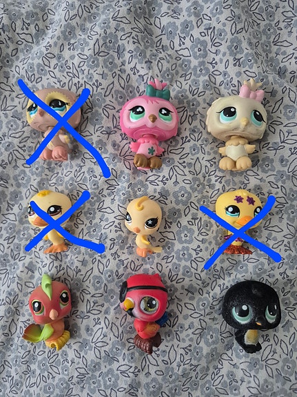 Lps lintuja