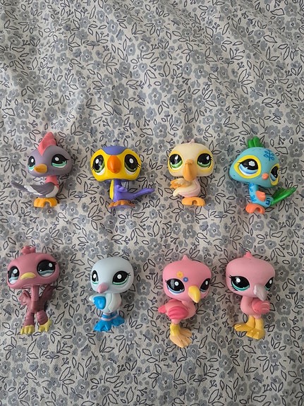 Lps lintuja